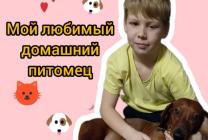 Дима Л